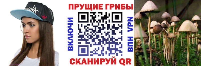 Галлюциногенные грибы Psilocybe  Красноуфимск 